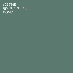 #5B796E - Como Color Image