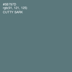 #5B797D - Cutty Sark Color Image