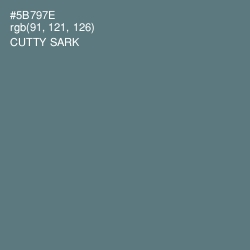 #5B797E - Cutty Sark Color Image