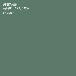 #5B7A69 - Como Color Image
