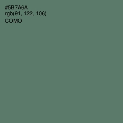 #5B7A6A - Como Color Image