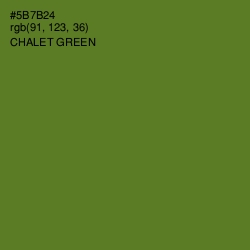 #5B7B24 - Chalet Green Color Image