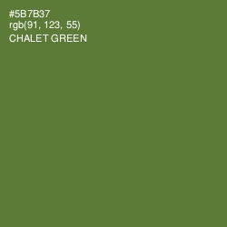 #5B7B37 - Chalet Green Color Image