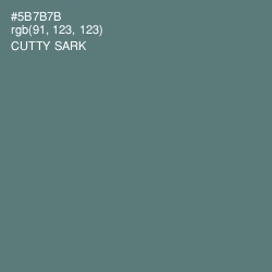 #5B7B7B - Cutty Sark Color Image
