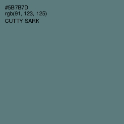 #5B7B7D - Cutty Sark Color Image