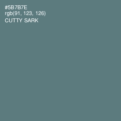#5B7B7E - Cutty Sark Color Image
