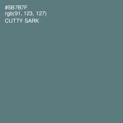 #5B7B7F - Cutty Sark Color Image
