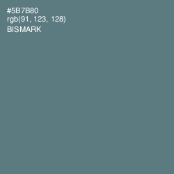 #5B7B80 - Bismark Color Image