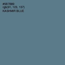 #5B7B89 - Kashmir Blue Color Image