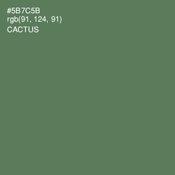 #5B7C5B - Cactus Color Image