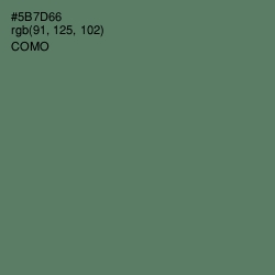 #5B7D66 - Como Color Image