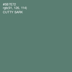 #5B7E72 - Cutty Sark Color Image