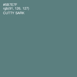 #5B7E7F - Cutty Sark Color Image