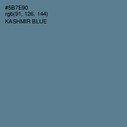 #5B7E90 - Kashmir Blue Color Image