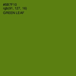 #5B7F10 - Green Leaf Color Image