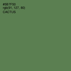 #5B7F50 - Cactus Color Image