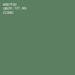 #5B7F60 - Como Color Image