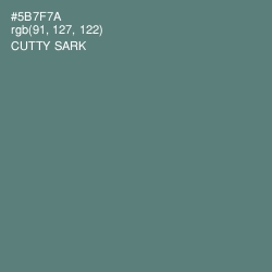 #5B7F7A - Cutty Sark Color Image