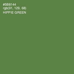 #5B8144 - Hippie Green Color Image