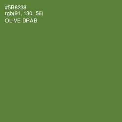 #5B8238 - Olive Drab Color Image