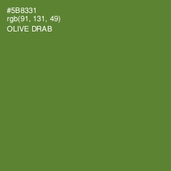 #5B8331 - Olive Drab Color Image