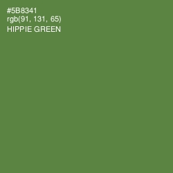 #5B8341 - Hippie Green Color Image