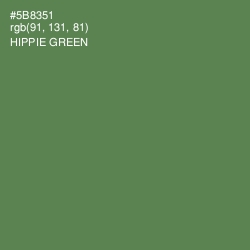 #5B8351 - Hippie Green Color Image