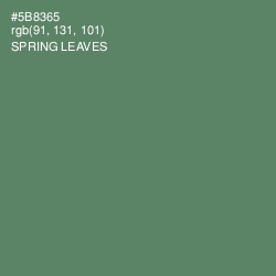 #5B8365 - Spring Leaves Color Image