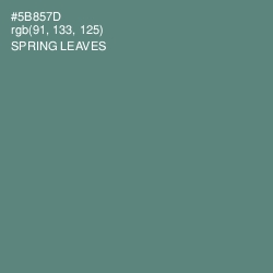 #5B857D - Spring Leaves Color Image