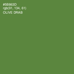 #5B863D - Olive Drab Color Image