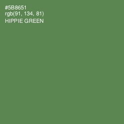 #5B8651 - Hippie Green Color Image