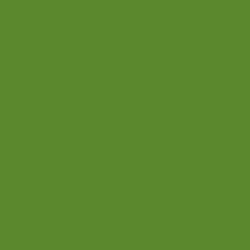 #5B872D - Olive Drab Color Image