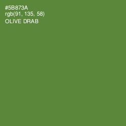 #5B873A - Olive Drab Color Image
