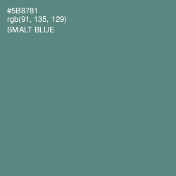 #5B8781 - Smalt Blue Color Image