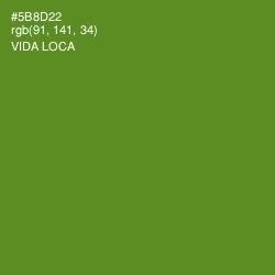 #5B8D22 - Vida Loca Color Image