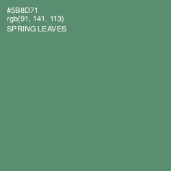 #5B8D71 - Spring Leaves Color Image