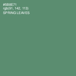 #5B8E71 - Spring Leaves Color Image