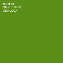 #5B8F19 - Vida Loca Color Image