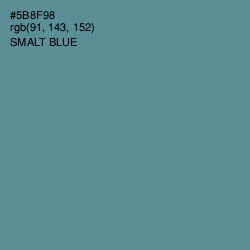 #5B8F98 - Smalt Blue Color Image