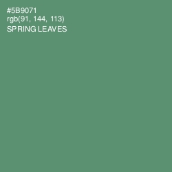 #5B9071 - Spring Leaves Color Image