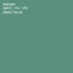 #5B9081 - Smalt Blue Color Image