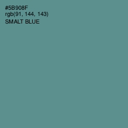 #5B908F - Smalt Blue Color Image