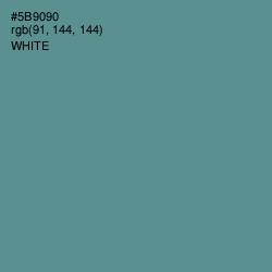 #5B9090 - Smalt Blue Color Image