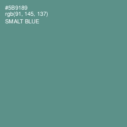 #5B9189 - Smalt Blue Color Image