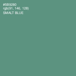 #5B9280 - Smalt Blue Color Image