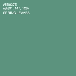 #5B937E - Spring Leaves Color Image