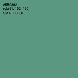 #5B9882 - Smalt Blue Color Image