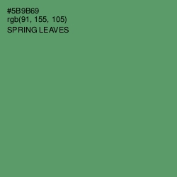 #5B9B69 - Spring Leaves Color Image