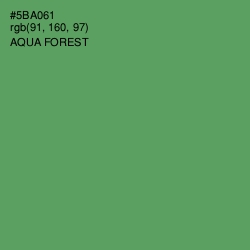 #5BA061 - Aqua Forest Color Image