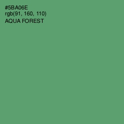 #5BA06E - Aqua Forest Color Image